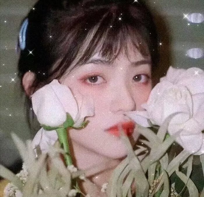 四片羽毛